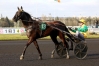 Fabrice-Souloy-recrute-employe-0