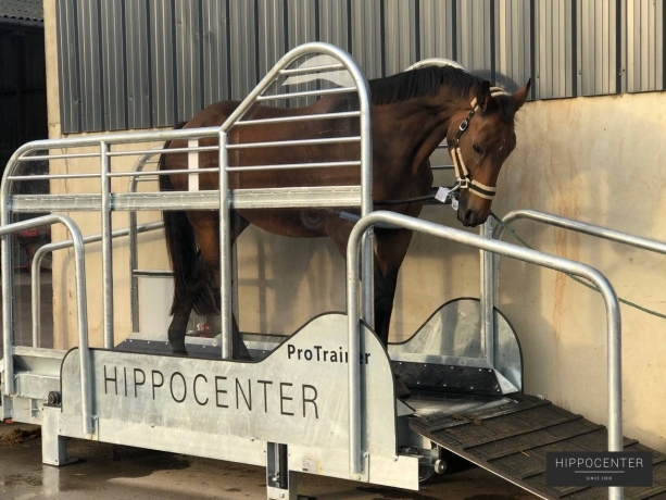 Tapis-roulant-Protrainer--HIPPOCENTER-1