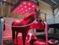 Solarium-pour-chevaux-HippoSun--HIPPOCENTER-0