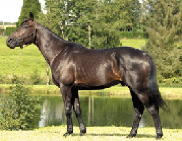Vds-saillie-PRINCE-D-ESPACE