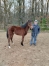 Yearlings-0