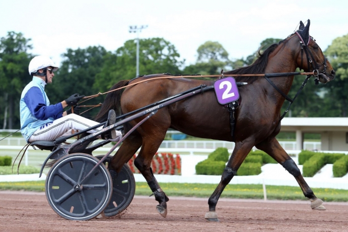 Baltic-Charm-petit-prix
