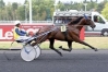 Vds-saillie-FABULOUS-WOOD-0