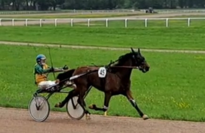 K-hongre-qualifie-pret-a-courir