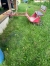 Cariole-poney-0