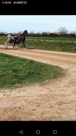 recherche-entraineur-0