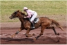 F---Hongre-89-000-euros-de-gains-1