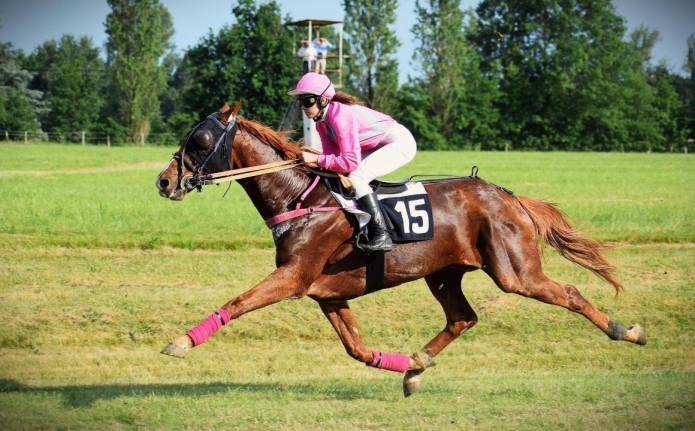 F---Hongre-89-000-euros-de-gains-0