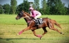 F---Hongre-89-000-euros-de-gains-0