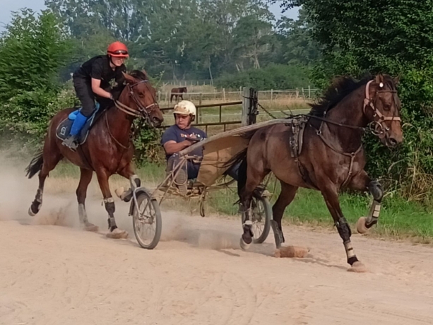 Prends-chevaux-1