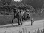 Prends-chevaux-0