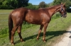 K-qualifiee-1-19-inedite-2