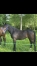 Vends-Mara-Secrete-1