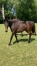 Vends-Mara-Secrete-0