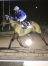Frodon-Thonic-0