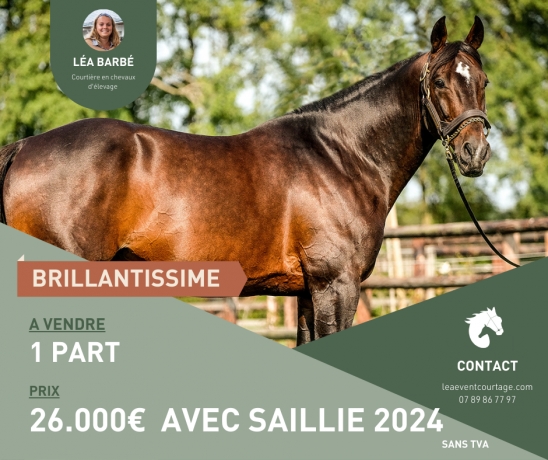 PART-DE-BRILLANTISSIME-SANS-TVA