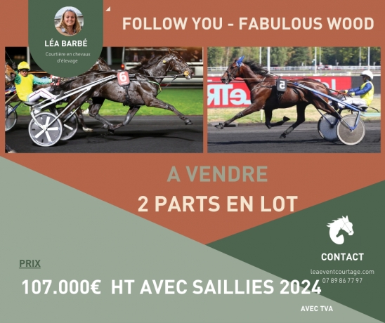 LOT---PARTS-FABULOUS-WOOD--FOLLOW-YOU
