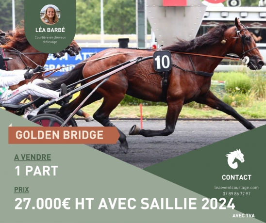PART-DE-GOLDEN-BRIDGE