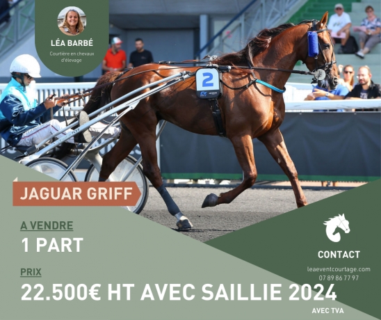 PART-DE-JAGUAR-GRIFF