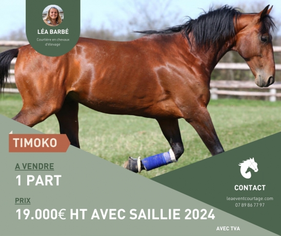PART-DE-TIMOKO