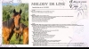 Melody-de-line-1