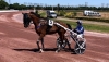 Entraineur-publique-0