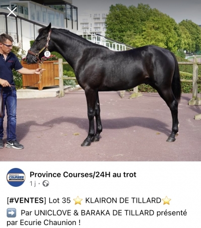 Klairon-de-Tillard-0