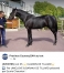 Klairon-de-Tillard-0