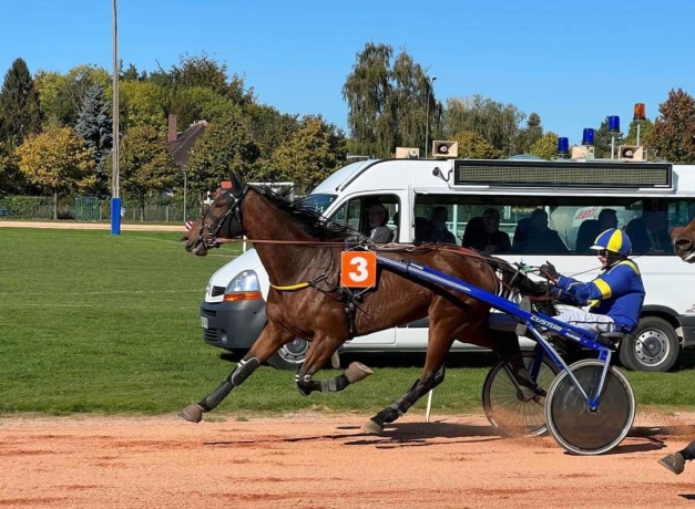 Cede-Jamaique-Mika-0