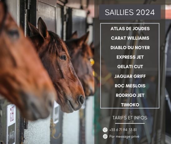 Vends-saillies-2024-0