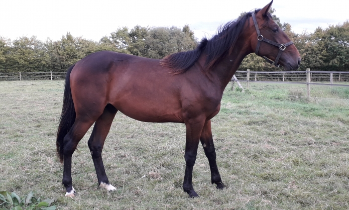 Male-par-Timoko-et-Divine-d--