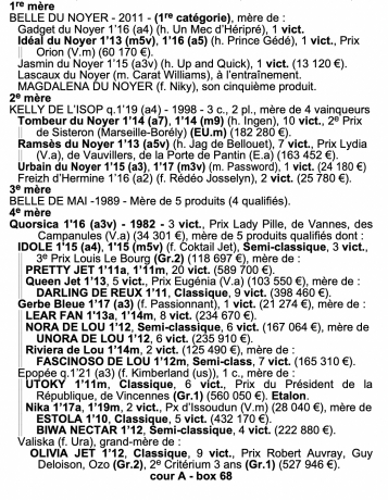 Belle-du-Noyer-par-Ready-Cash-souche-de-Darling-de-Reux-etc-pleine-de-Diablo-du-Noyer