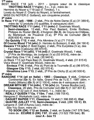 BEST-RACE-par-Goetmals-Wood-et-In-Race---propre-soeur-de-TROTTING-RACE-CLASSIQUE-pleine-de-Carat-Williams