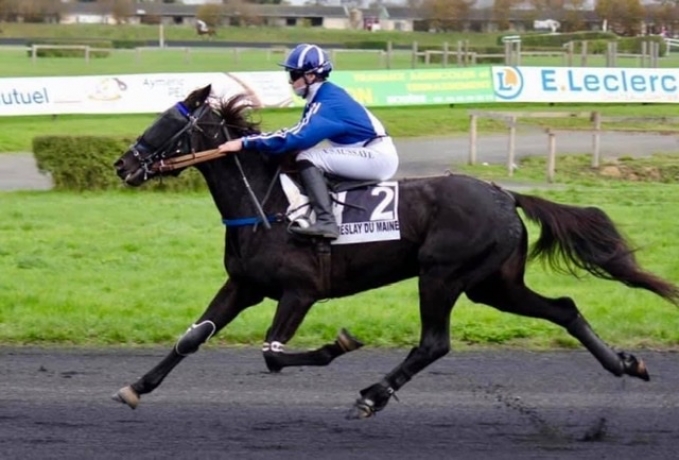 Entraineur-publique-propose