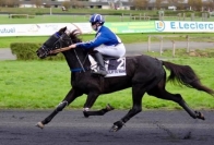 Entraineur-publique-propose