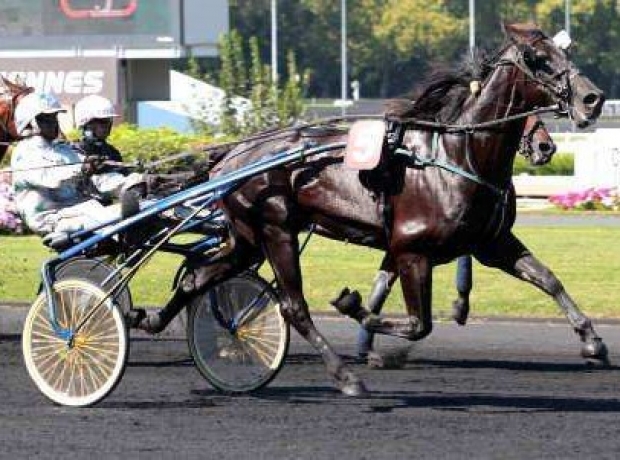 A-LOUER-ou-A-VENDRE-ETALONS-BLACK-D-AVRIL-ET-AIRPORT