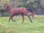 male-M-garanti-non-debourre-0
