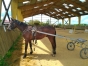 Remise-en-route-apres-long-repos-6