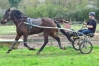 Remise-en-route-apres-long-repos-4