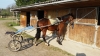 Remise-en-route-apres-long-repos-2