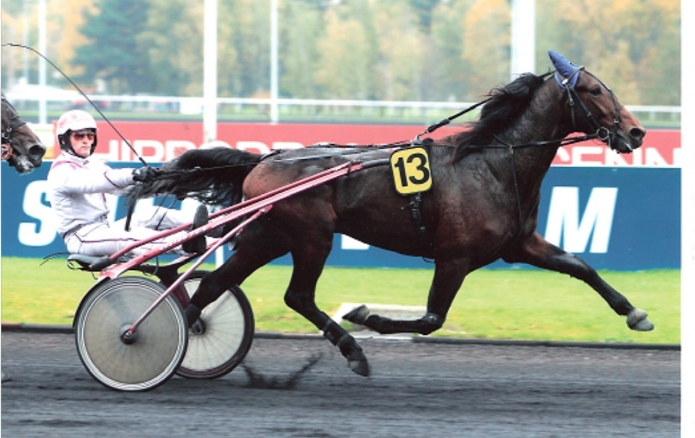 VENDS-PARTS-VILLAGE-MYSTIC--TIMOKO--UN-AMOUR-D-HAUFOR-SANS-TVA
