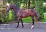 R-D-V--le-29-septembre-vente-de-Caen---n°-706---762---768-origine-classique--1