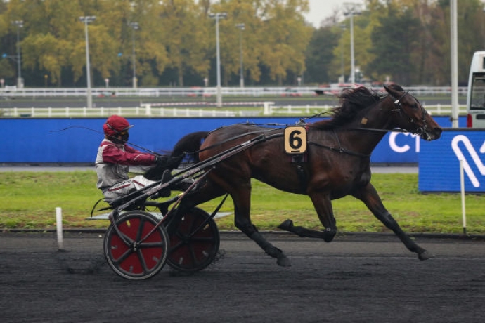 Vends-part-de-HOHNECK