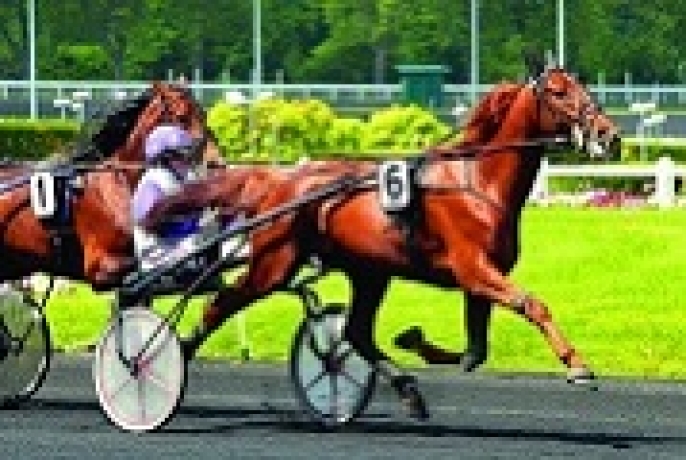 Vends-part-de-BOCCADOR-DE-SIMM