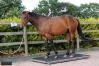 Balance-pour-cheval-1500-kg-1