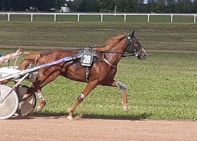 2-L-qualifiees-1-18-mere-Prodigious-et-Biesolo-1