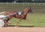 2-L-qualifiees-1-18-mere-Prodigious-et-Biesolo-1