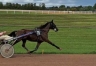 2-L-qualifiees-1-18-mere-Prodigious-et-Biesolo-0