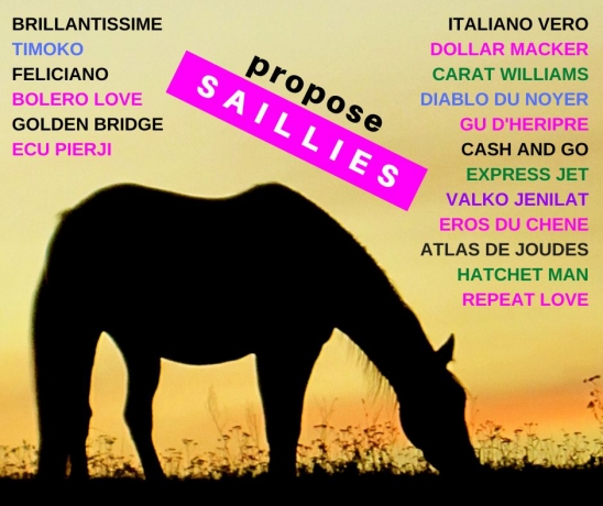 18-saillies-0