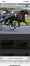 PART-D-ETALON-FASTISSIME-0